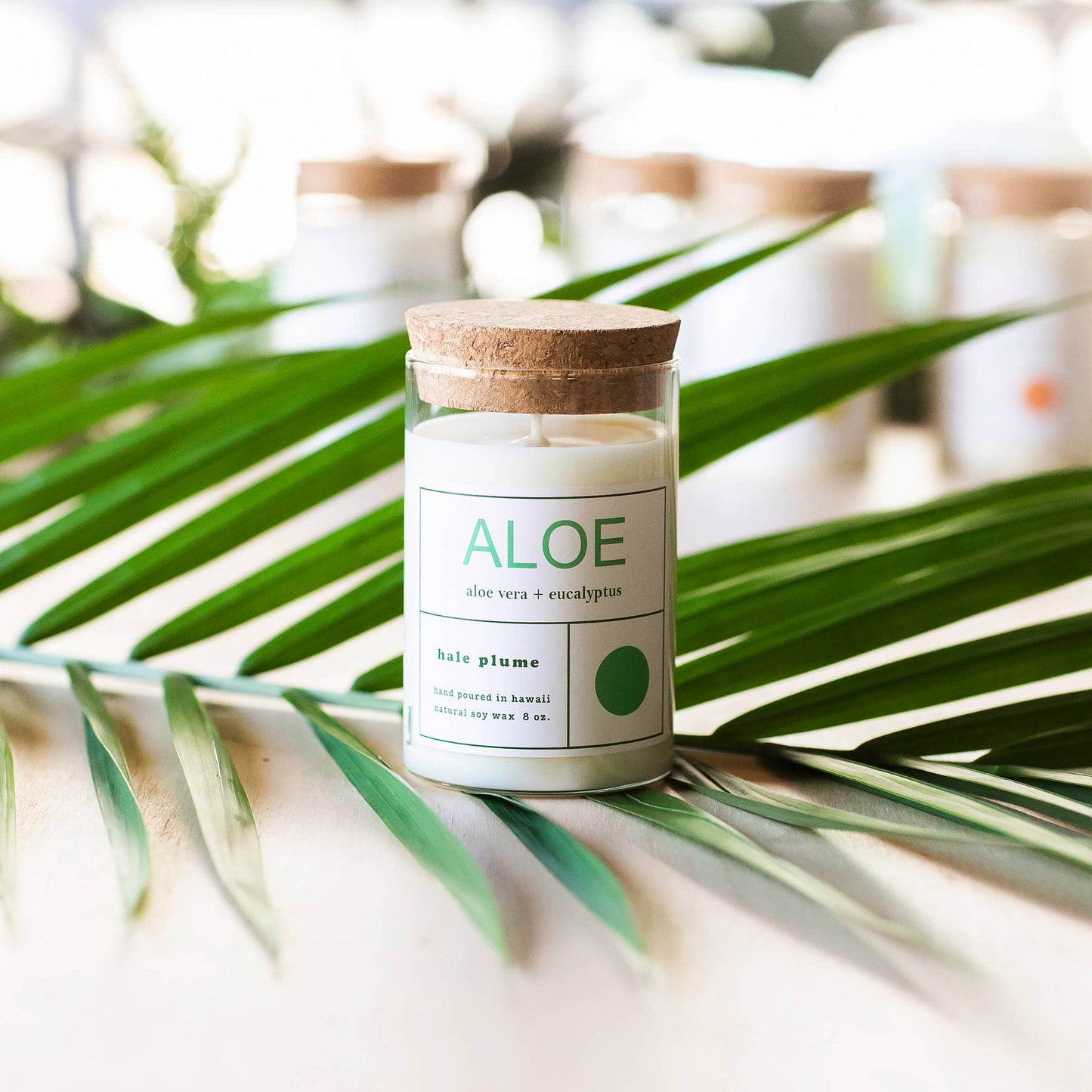 ALOE Candle - Hale Plume